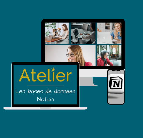 notion base de données